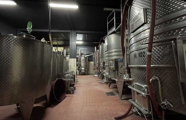 Il Colombaio Winery and Rooms - Foto 74