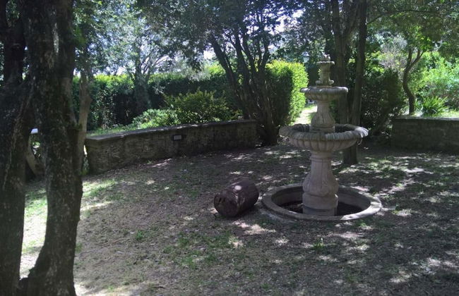 I Templari - Foto 40