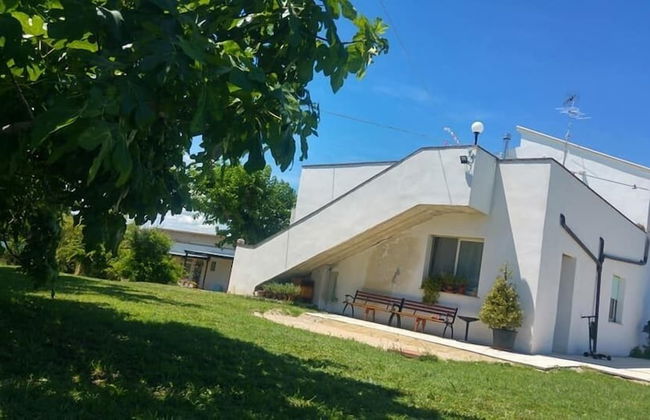 Il Giardino fra gli Ulivi - Photo 36