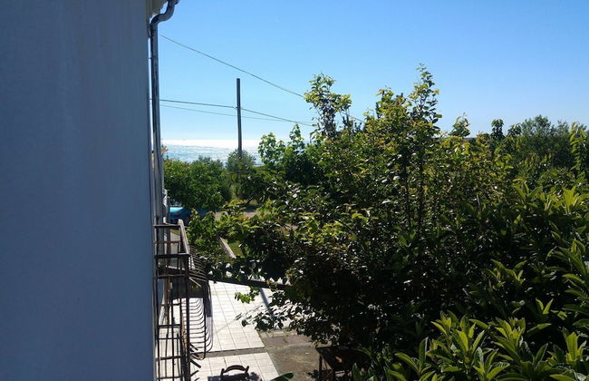 Il Giardino fra gli Ulivi - Photo 44
