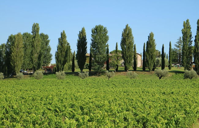 Agriturismo La Sovana - Foto 44