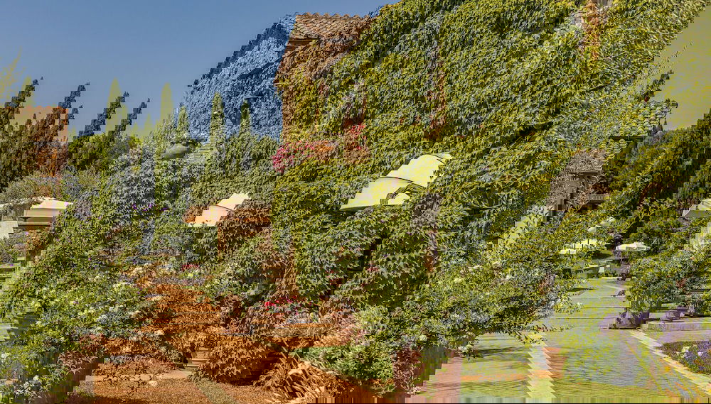 Imagem principal