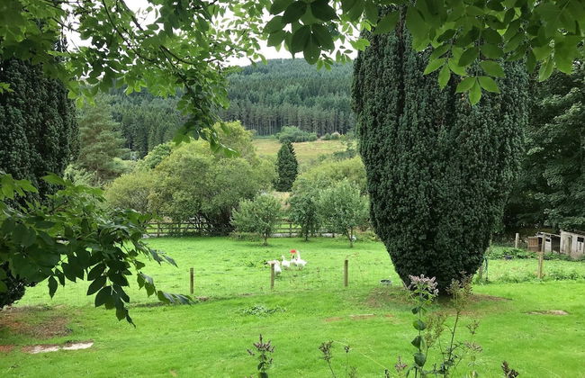 Byrness House - Foto 12