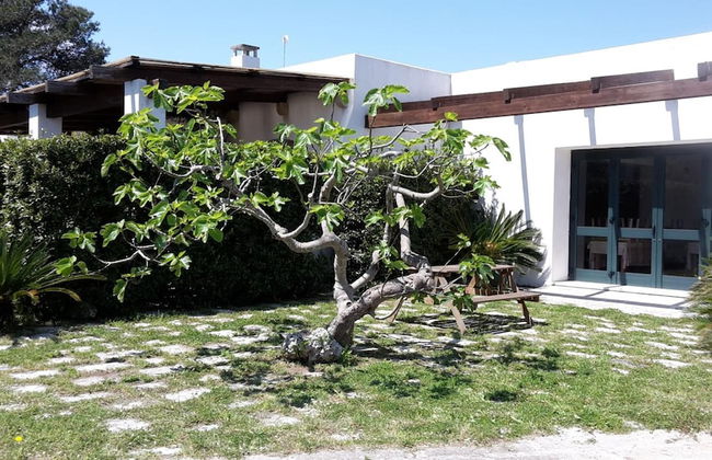 Agriturismo Vignavecchia - Foto 49