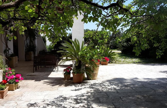 Agriturismo Vignavecchia - Foto 51