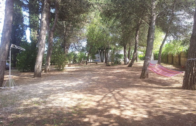 Agriturismo Vignavecchia - Foto 48