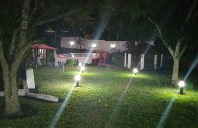 Los Olivos - Foto 7