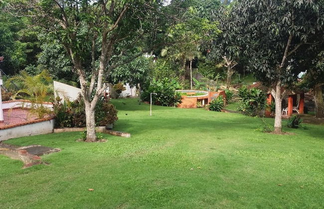 Los Olivos - Foto 9