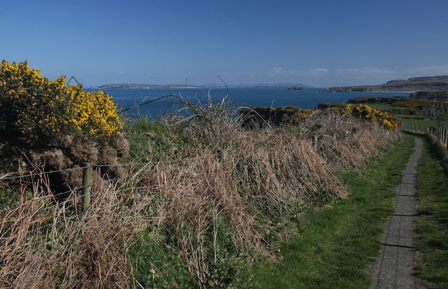 Bayview Farm Holiday Cottages - Foto 31
