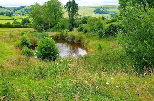 Photo 26 - Foxglove Holiday Private Eco Accommodation