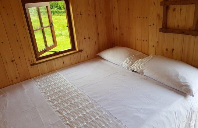 Foxglove Holiday Private Eco Accommodation - Foto 3