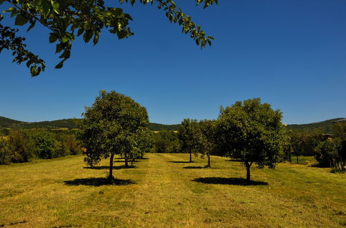 Photo 50 - La Fraschetta