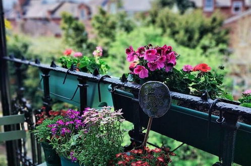 Foto 8 - Charming London With Balcony