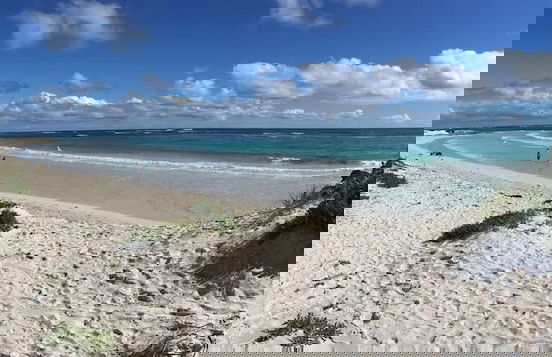 Tasman Holiday Parks - Ledge Point - Foto 10