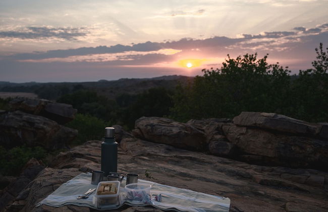 Shalimpo Safari Home - Mashatu Game Reserve - Photo 24