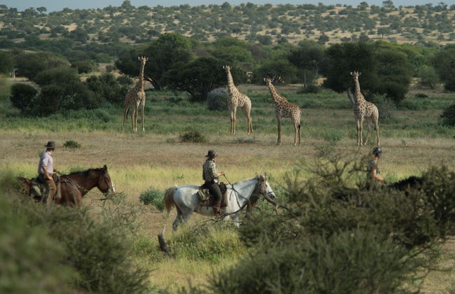 Shalimpo Safari Home - Mashatu Game Reserve - Photo 11