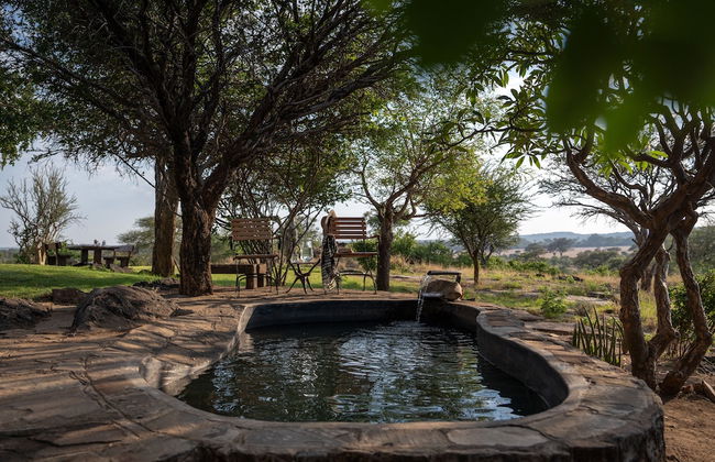 Shalimpo Safari Home - Mashatu Game Reserve - Photo 9