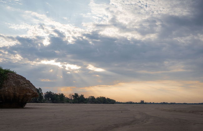 Shalimpo Safari Home - Mashatu Game Reserve - Photo 21