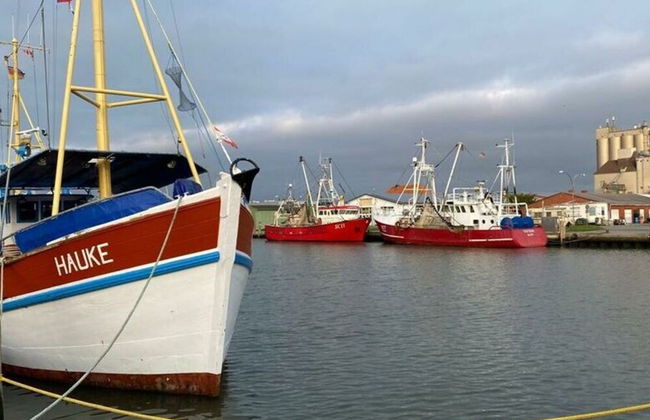 Cosy Holiday Home With Terrace - Photo 20