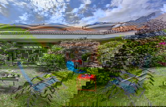 Photo 2 - Rododendro Rosso in Ispra