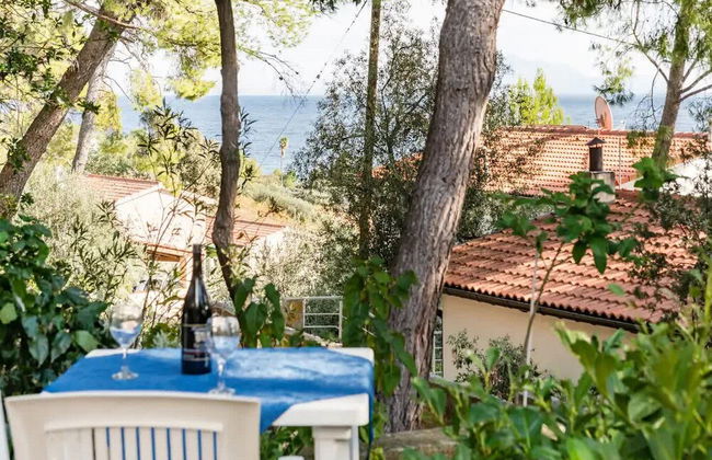 Apartments Villa Pelegrin - Photo 1