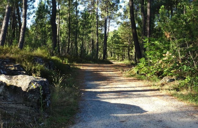 Authentic Stone Mas Retreat - Photo 34