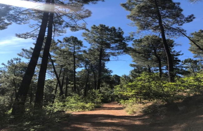 Authentic Stone Mas Retreat - Photo 31