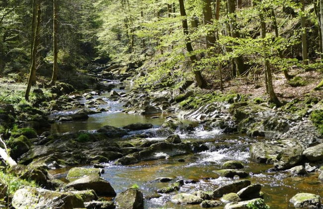 Familienurlaub im Bayerischen Wald - Foto 32