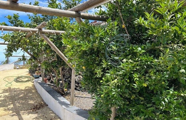 ECOLIFE TENERIFE HOUSES - Foto 45