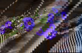 Foto 25 - Belvilla by OYO Casa Rural Poza de la Torca II