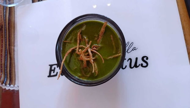 Rezeption