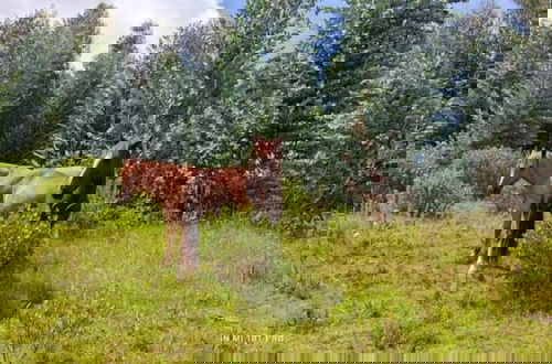 Foto 51 - Villa Eucalyptus
