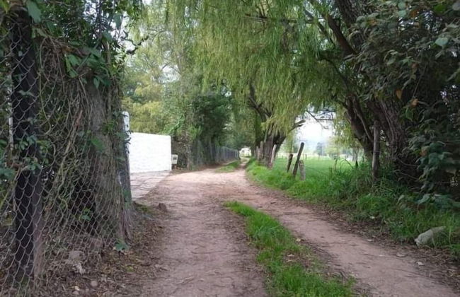 Villa Eucalyptus - Foto 68