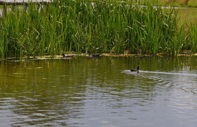 Veldenberg Nature Resort Stay - Photo 20