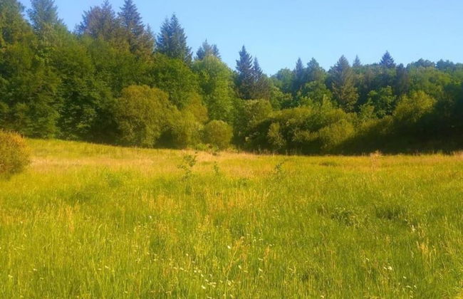 Holiday Home Near Lake and Leisure in Clos du Bannet - Foto 24