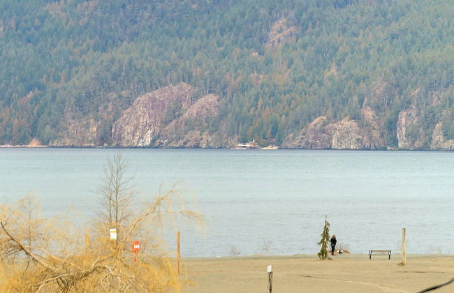 Harmony Haven 2BR Lakefront Suite - Foto 71