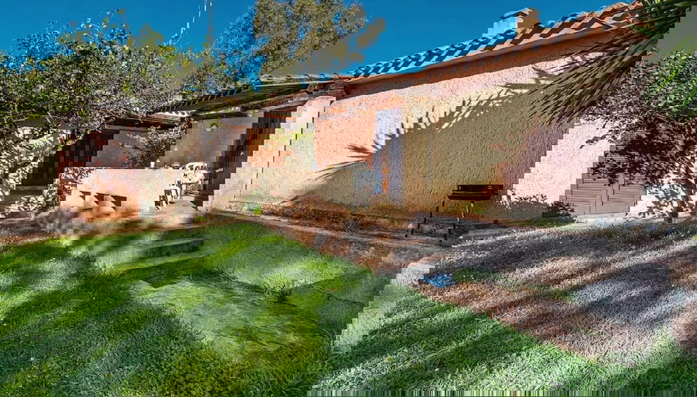 Image principale