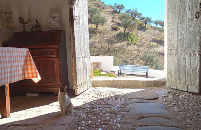 Andalusian Farmhouse for Workshops, Retreats or Events - Foto 37