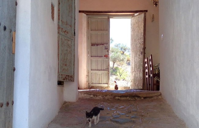 Andalusian Farmhouse for Workshops, Retreats or Events - Foto 2