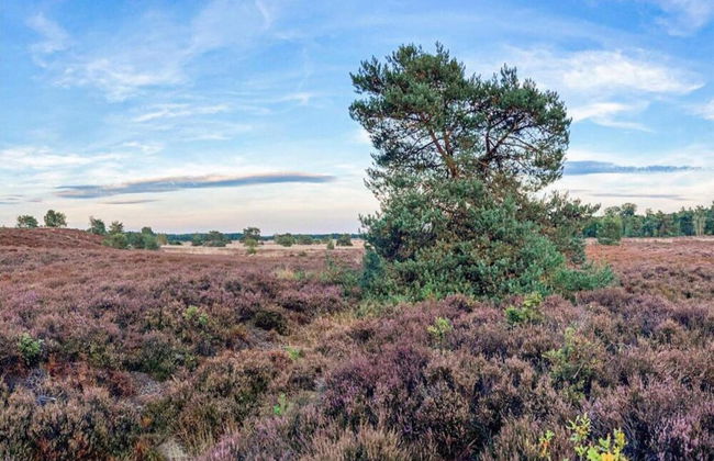 Bungalow in Veluwe Near Harderwijk - Foto 14