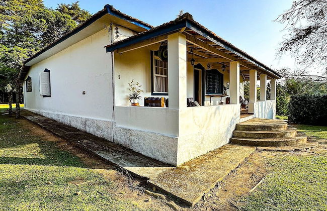 Fazenda Paraiso da Serra - Foto 49