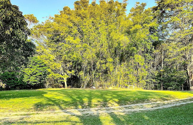 Fazenda Paraiso da Serra - Foto 24