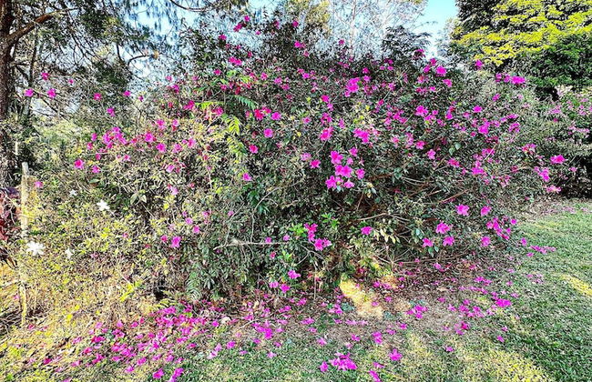 Fazenda Paraiso da Serra - Foto 23