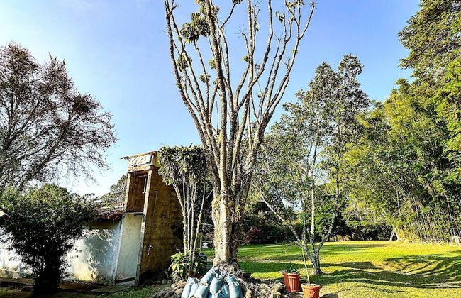 Fazenda Paraiso da Serra - Foto 38