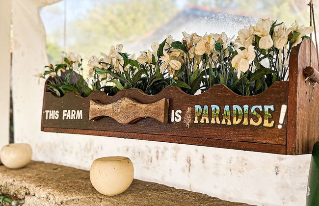Fazenda Paraiso da Serra - Foto 47