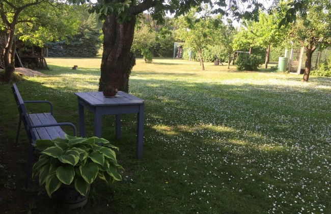 Holiday Home Grussow - Foto 14