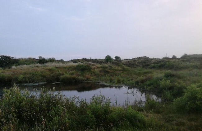 Lagoon on the Wadden See on Wangerooge - Foto 5
