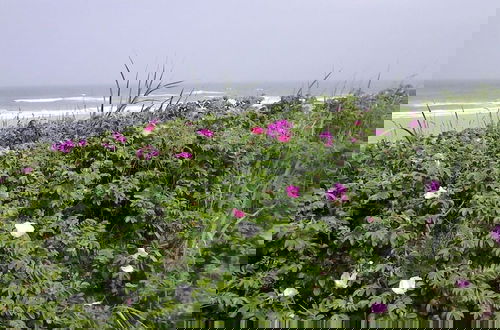 Photo 12 - Lagoon on the Wadden See on Wangerooge