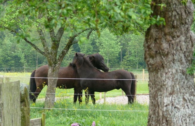 2 Fuchskreuzhof - Foto 17