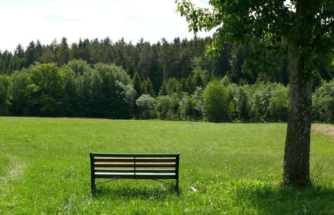 2 Fuchskreuzhof - Foto 9